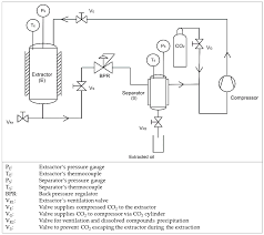 Top 5 carbon monoxide detectors. Polymers Free Full Text Assessment Of Supercritical Co2 Extraction As A Method For Plastic Waste Decontamination Html