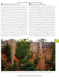 Sichtschutz Im Garten Amazon De Birgit Grimm Folko Kullmann Tanja Ratsch Bucher Mit Bildern Sichtschutz Garten Garten Sichtschutz