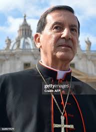 184 Christian Salazar Stock Photos, High-Res Pictures, and Images