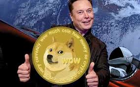 The meme typically consists of a picture of a shiba inu dog accompanied by multicolored text. Legal Online Dogecoin Betting As Elon Musk Barks Up Right Tree
