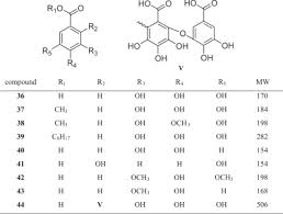 Image result for Epilobium stereophyllum