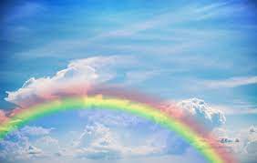 Vagabundenhüttn mein berner sennenrüde ein. Regenbogenland Verstorbene Tiere Tier Gestorben Natur Tier Kommunikation De