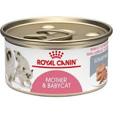 Best Kitten Food In 2021 Wet Canned Dry Reviews Guides