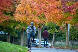 Add cash value to your orca card if you ride transit infrequently (less than 18 round trips per month) add funds each car can tie down two bikes, and two riders may stand with their bicycles near the doors. Best Bike Rides In Seattle