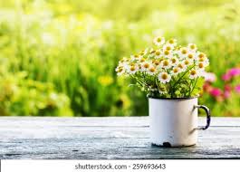 Spring, also known as springtime, is one of the four temperate seasons, succeeding winter and preceding summer.there are various technical definitions of spring, but local usage of the term varies according to local climate, cultures and customs. Spring Images Pictures Photos Spring Photographs Shutterstock