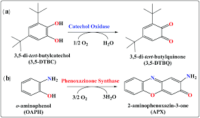 York sheet metal ltd ⭐ , canada, ontario: A Facile Biomimetic Catalytic Activity Through Hydrogen Atom Abstraction By The Secondary Coordination Sphere In Manganese Iii Complexes Dalton Transactions Rsc Publishing