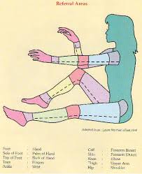 reflexology diagram diagrams of reflexology reflexology