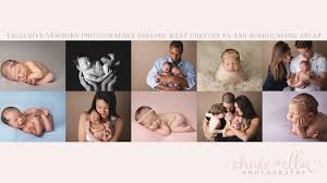 Image result for Chaseella