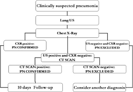 Evaluation Of Lung Ultrasound For The Diagnosis Of Pneumonia In The Ed -  The American Journal Of Emergency Medicine