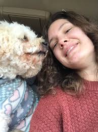 This is my beautiful Cavapoo boy Ernie 🐾💙 Only been home since 5pm this  evening and he's settling in nicely 💙 Thank you to all at Paddock Farm ,  he is absolutely perfect 💙