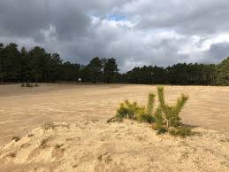 Spuren sand strand fußspuren natur fußabdruck sandstrand landschaft wüste. Lohner Sand Ein Hauch Von Borkum Wanderung Outdooractive Com