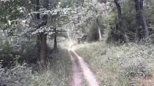 Find 84 traveler reviews, 76 candid photos. Kirandulas Pilis Hegyseg Dobogoko Zsivany Sziklak Pilisszentkereszt Youtube