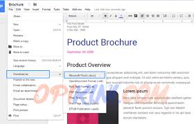 Cara Convert Pdf Ke Word Di Hp Dan Laptop Paling Mudah Opikini