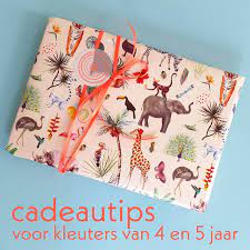 Kleuter Verjaardag Cadeau Ideeen Voor Kinderen Van 4 Jaar Of 5 Jaar