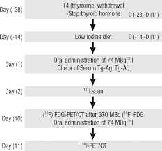 Diagnostic And Therapeutic Flow Chart Of Treatment Performed