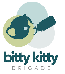 Check spelling or type a new query. Pets For Adoption At The Bitty Kitty Brigade In St Paul Mn Petfinder