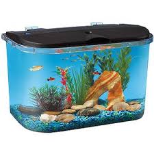 Hawkeye 5 Gallon Fish Tank With Power Filter And Led Lighting Aq15005blk Walmart Com Aquarium Kit Aquarium Aquarium Fish
