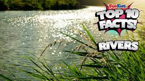 Top 10 Facts About Rivers Fun Kids The Uk S Children S Radio Station