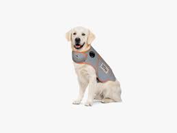 It's a good idea to time walks earlier in the day before the fireworks start. Do Thundershirts Really Calm Dogs During Fireworks Wired