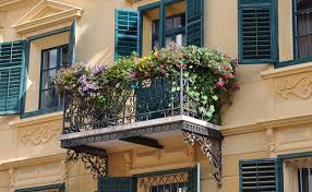 Visitez ebay pour une grande sélection de plante pour jardiniere. Quelles Plantes Choisir Pour Un Balcon Expose Au Sud
