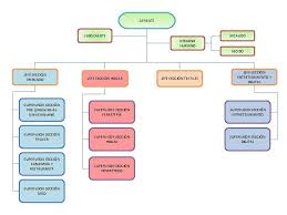 Find out everything there's to know about almacenes exito s.a. Almacenes Exito S A Natali Capera Sandra Caro