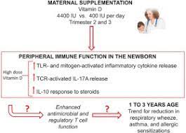 We did not find results for: Vitamin D Supplementation During Pregnancy Effect On The Neonatal Immune System In A Randomized Controlled Trial Sciencedirect