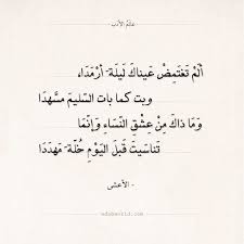 ألم تغمض عيناك من قصائد الأعشى الأعشى الحب الشوق شعر عالم الأدب Arabic Quotes Arabic Poetry Quotes Arabic Quotes Math