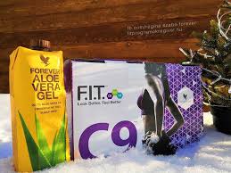 Forever C9 Guide | FIT programs with Regi