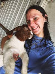 Show wethers for sale in Texarkana, TX