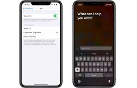 How To Enable Type To Siri The Sweet Setup