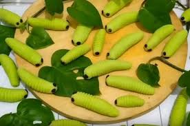 Begitu juga dengan kue kering. Satwi2hp5ls0cm