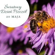 To bardzo ważny dzień, kiedy organizacje ekologiczne próbują przekazać gdyby nie pszczoły, prawie 80 % procent plonów w naszym kraju by nie rosło. Nasielsk Pl 20 Maja Swiatowy Dzien Pszczol