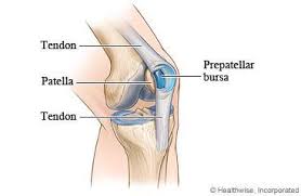 Symptoms of outer knee pain. Knee Bursitis My Doctor Online