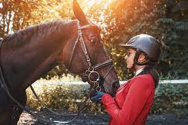 10 Best Horse Riding Helmets Dressage Jumping Etc