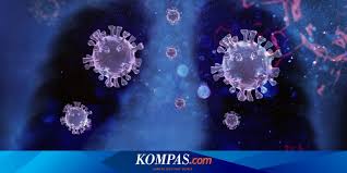 It added that cases of lambda variant. Mengenal Varian Baru Virus Corona Lambda Halaman All Kompas Com
