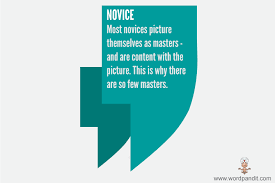 Meaning Of Novice