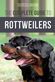 Cute and awesome male and female rottweiler puppies, my puppies are well trained and can. The Complete Guide To Rottweilers Training Health Care Feeding Socializing And Caring For Your New Rottweiler Puppy Richie Vanessa 9781704333038 Amazon Com Books