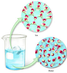 Structure Of Water And Ice Biology Forums Gallery Hydrogen Bond Structured Water Water Molecule