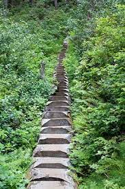 Victoria Bc Hiking Parks Camping And Outdoor Activities Ecotourism Outdoor Places To Visit
