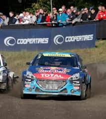 Image result for Papyrus 2014 Peugeot