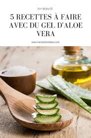 5 Diy Beaute A Faire Avec Du Gel D Aloe Vera Recette Aloe Vera Cremes Antirides Maison Et Aloes