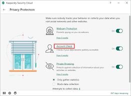 About The Account Check Feature In Kaspersky Security Cloud 20