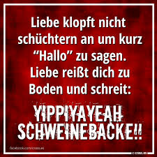 Liebe Klopft Nicht Schüchtern An Um Kurz Hallo Zu Sagen Liebe Reißt