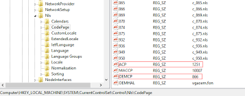 How Locale (Character Set) Choices Affect Your Btrieve Data In Oracle