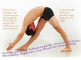 Bikram Standing Head To Knee 11 Standing Separate Leg Head To Knee Pose Bikram Yoga Poses Bikram Yoga Bikram Hot Yoga