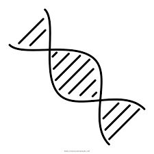 Colorful molecules background dna helix dna vector. Dna Coloring Page Ultra Coloring Pages