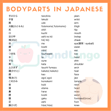 The human brain is the central organ of the human nervous system, and with the spinal cord makes up the central nervous system. Body Parts In Japanese
