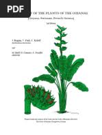 Image result for Elatostema paivaeanum