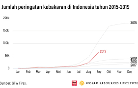 Salah satu jenis bidang usaha umkm yang paling banyak diminati bahkan hingga anak muda sekalipun. Kebakaran Hutan Berkepanjangan Dapat Menghambat Kemajuan Indonesia Dalam Mengurangi Deforestasi Wri Indonesia