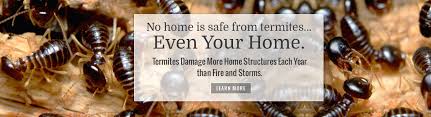 Always think through several pest management options before taking action. Pest Control Monmouth County Nj Monmouth Termite Pest Exterminator Action Pest Control